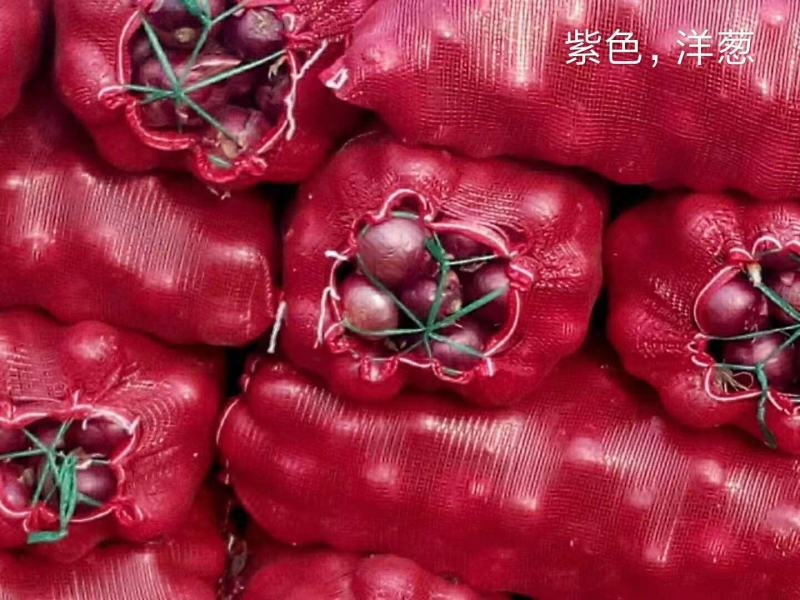 齐齐哈尔精品元葱洋葱产地直发一手货源价格优惠