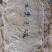 黄标糯米笋丝原材料新货嫩笋丝高山压榨笋开仓笋一斤泡发4斤