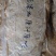黄标糯米笋丝原材料新货嫩笋丝高山压榨笋开仓笋一斤泡发4斤