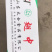 琵琶腿鸡肉鸡腿多肉鸡腿鸡胸肉鸡翅翅中黄焖鸡块黄焖鸡食材