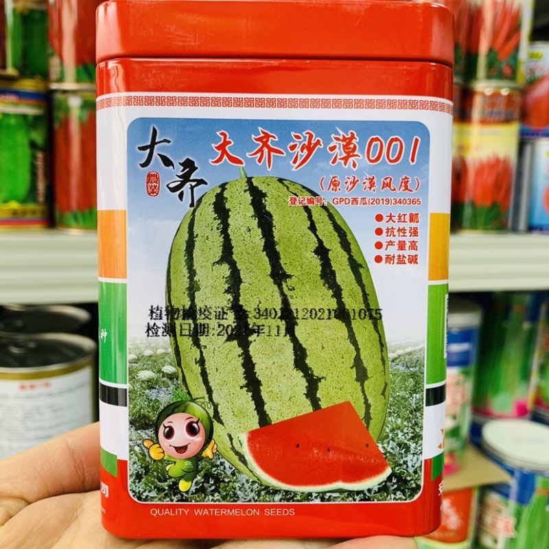 大齐沙漠001大红瓤西瓜种子耐盐碱杂交一代西瓜种籽抗病