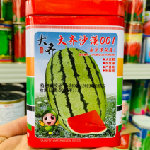 大齐沙漠001大红瓤西瓜种子耐盐碱杂交一代西瓜种籽抗病