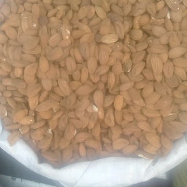 本地巴旦木仁质量保证诚信为本长期合作为本