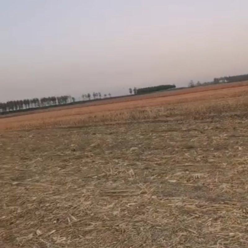 出租土地1400亩。