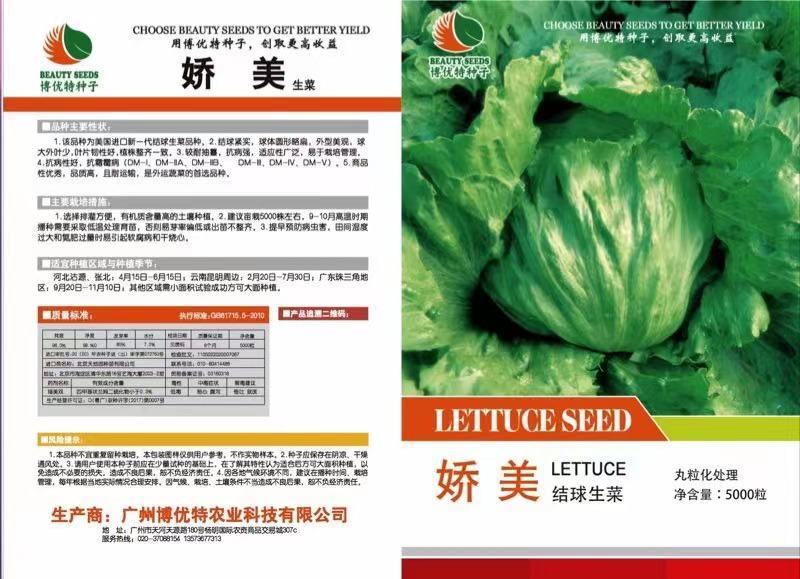 娇美进口结球生菜种子抗病性强球型美观耐抽薹