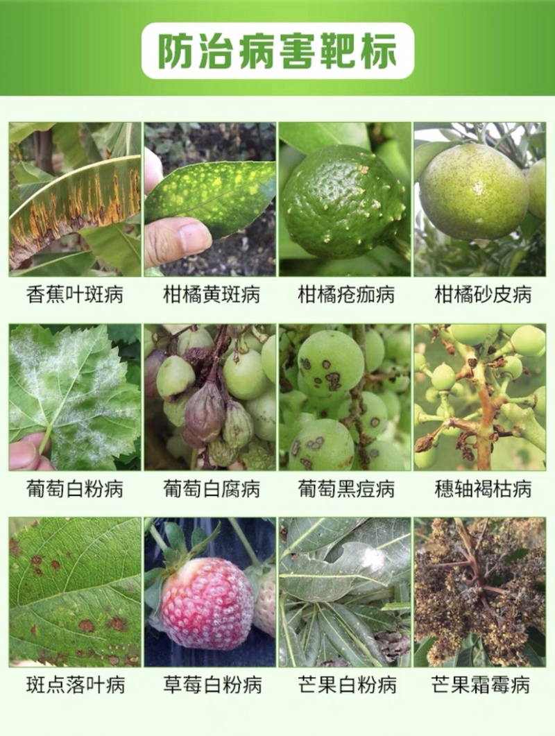 吡唑醚菌酯果树蔬菜杀菌剂炭疽疮痂霜霉白粉褐斑病