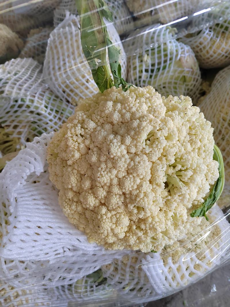 花菜，花菜，好货好货