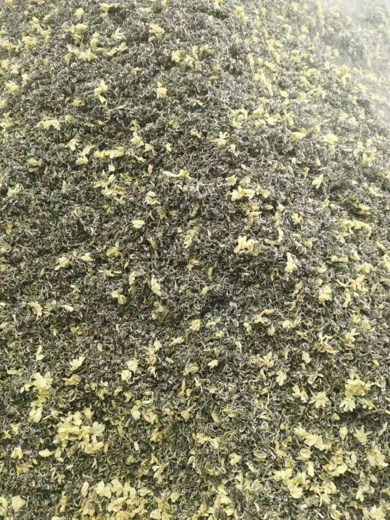 甘露飘雪，