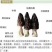 新鲜精品羊肚菌