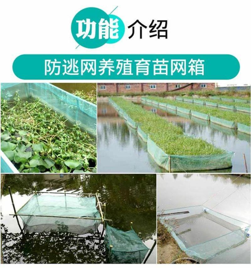 渔网网布围网养殖网青蛙牛蛙泥鳅黄鳝养殖围网网布