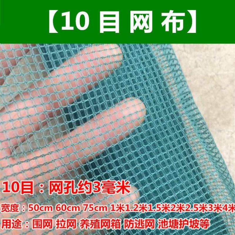 渔网网布围网养殖网青蛙牛蛙泥鳅黄鳝养殖围网网布