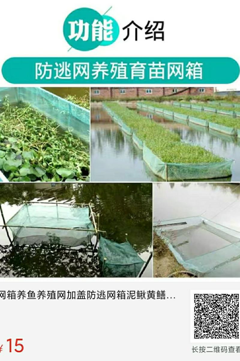 渔网网布围网养殖网青蛙牛蛙泥鳅黄鳝养殖围网网布