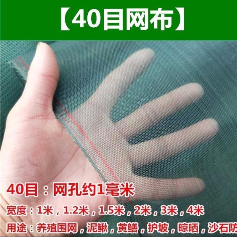 渔网网布围网养殖网青蛙牛蛙泥鳅黄鳝养殖围网网布