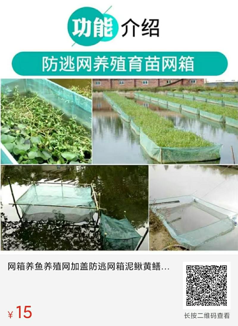 渔网网布围网养殖网青蛙牛蛙泥鳅黄鳝养殖围网网布