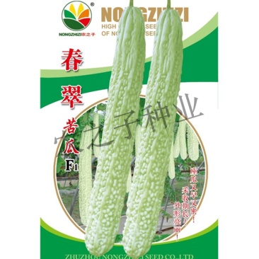 春翠苦瓜种子，10克