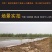 小龙虾养殖防逃膜防逃网甲鱼大闸螃蟹防逃膜围网