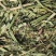 苜蓿草行情产地种植数量很多蛋白高水分低