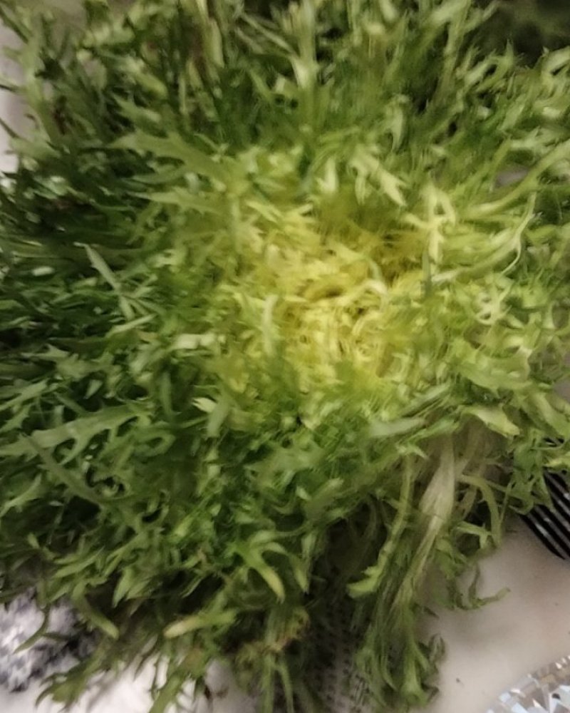我要卖苦菊