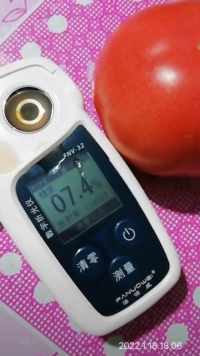 普罗旺斯西红柿口感好实惠诚信清甜多汁