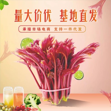 四川香椿芽基地直发鲜货精品香椿芽一件代发产地代办