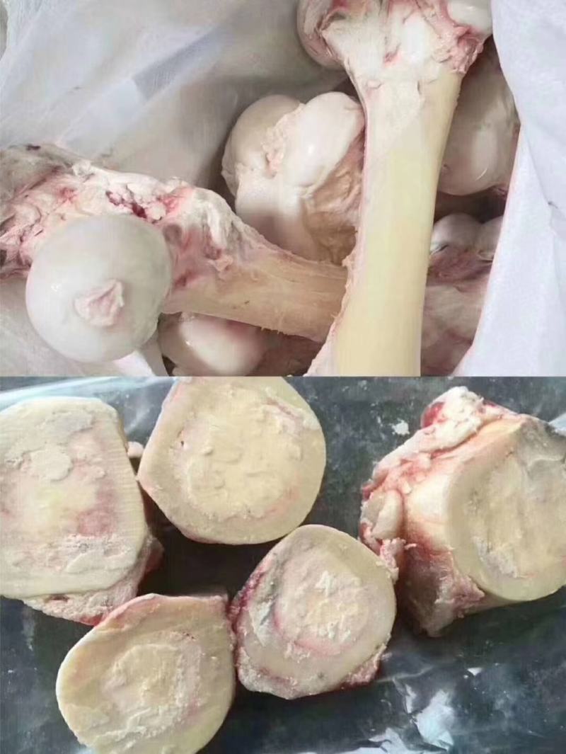 牛棒骨，熬汤优选，骨髓饱满价格实惠，需要的咨询