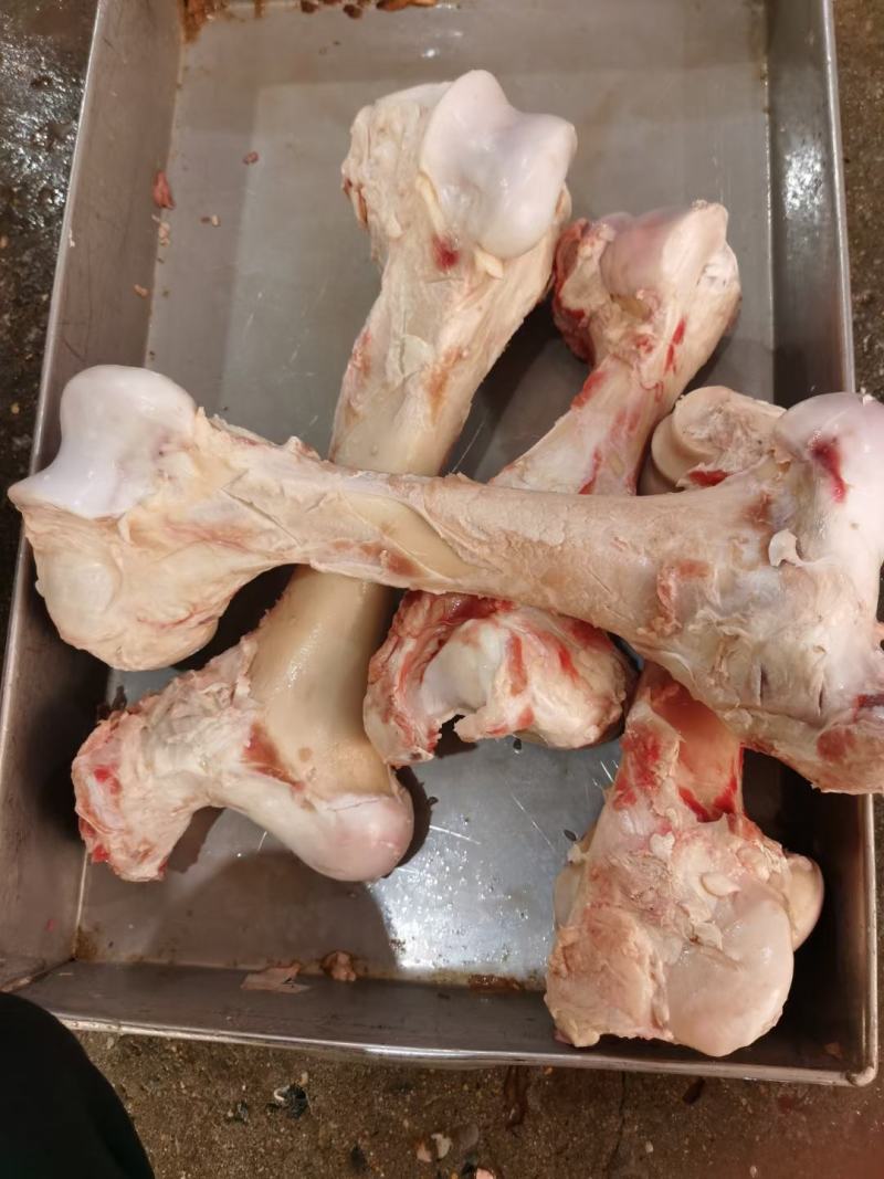 牛棒骨，熬汤优选，骨髓饱满价格实惠，需要的咨询