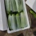 山东绿皮西葫芦可视频看质量量大货优提供任何包装