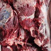 南阳本地黄牛肉纯干货不注水牛肉保证品质长期供货