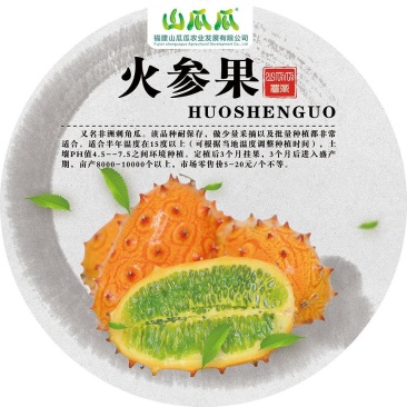 高产高糖女人的美容院火星灭霸火参果优选种子，