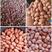 优质花生米油料米，商品米规格种类齐全大量批发供应