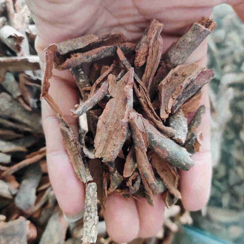 杜仲藤，红杜仲一手货源，产地直供道地药材，新货药味重