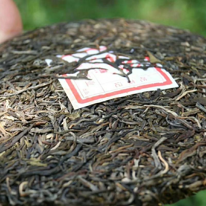 云南农业大学校企合作产品牧童蝉:吃茶记