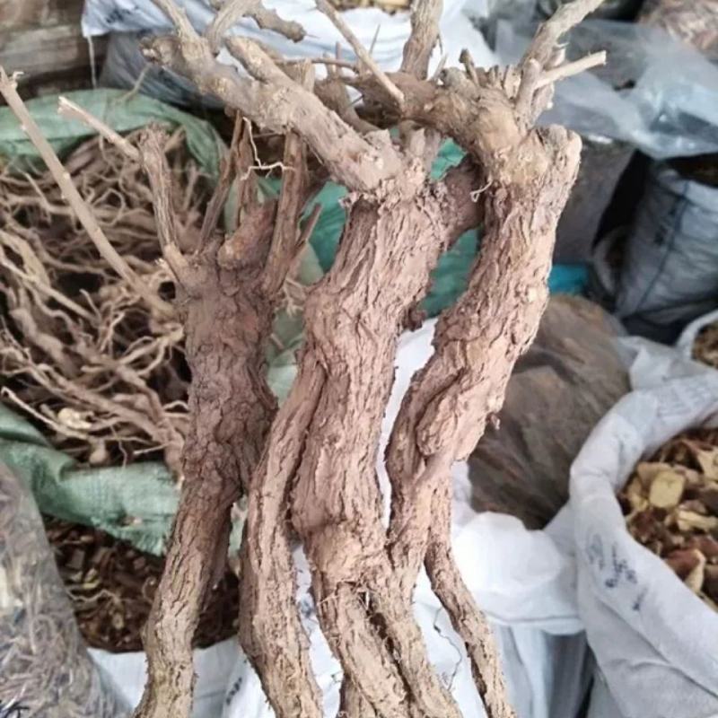 枸杞根，一手货源，产地直供道地药材，药典标准，新货药味重