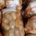 土豆。山东省聊城市东昌府区万亩蔬菜。量大货优