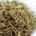 断肠草,一手货源,产地直供道地药材,新货药味重,品质保证