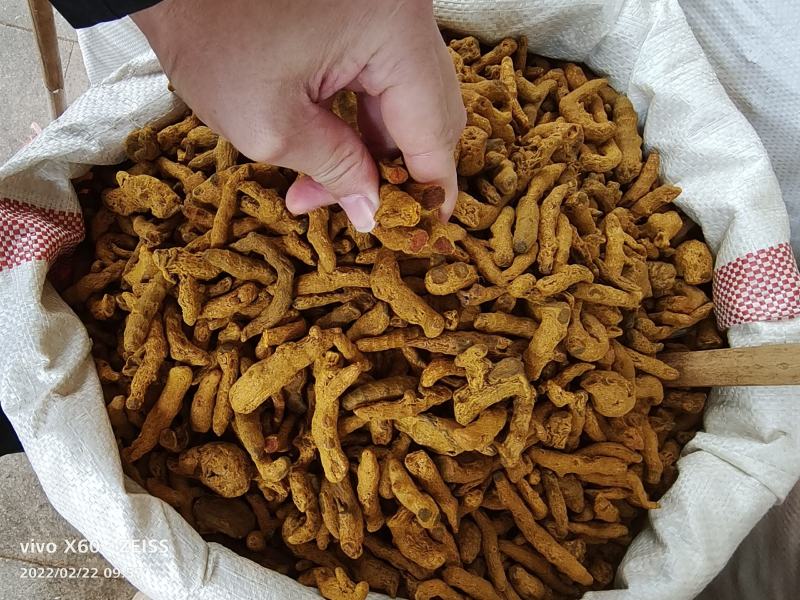 姜黄，中药材姜黄，批发零售，产地一手货源价格实惠