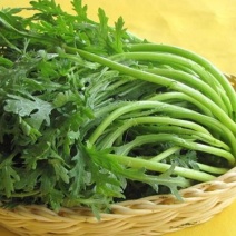 茼蒿