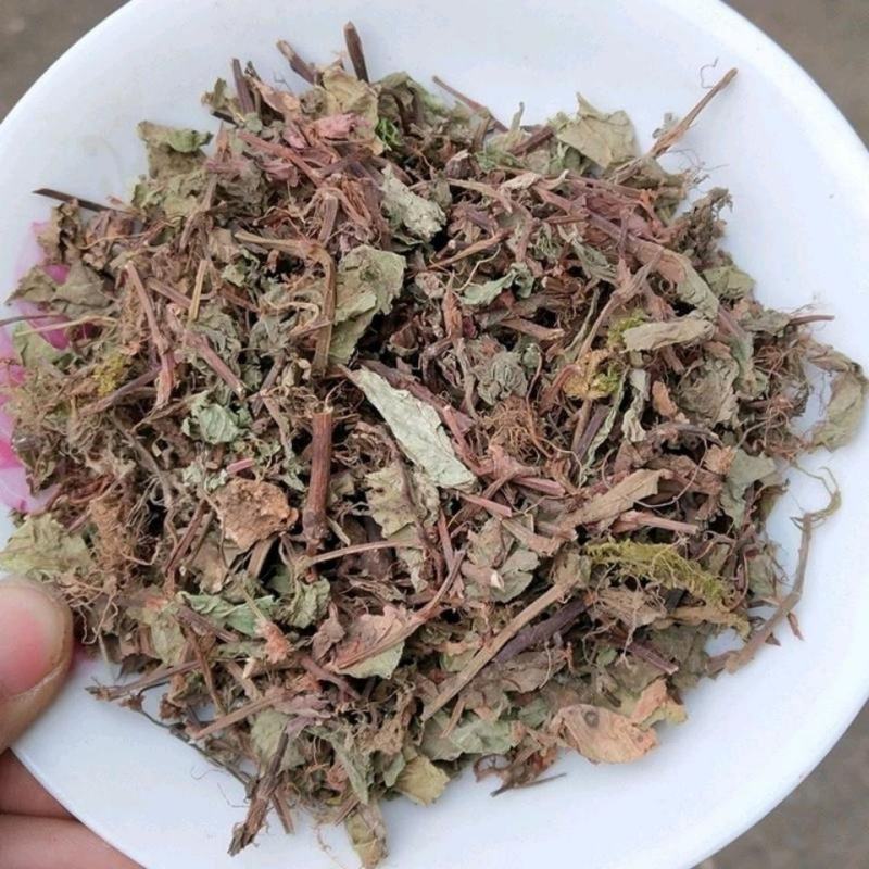 石莽草，一手货源，产地直供道地药材，新货药味重品质保证