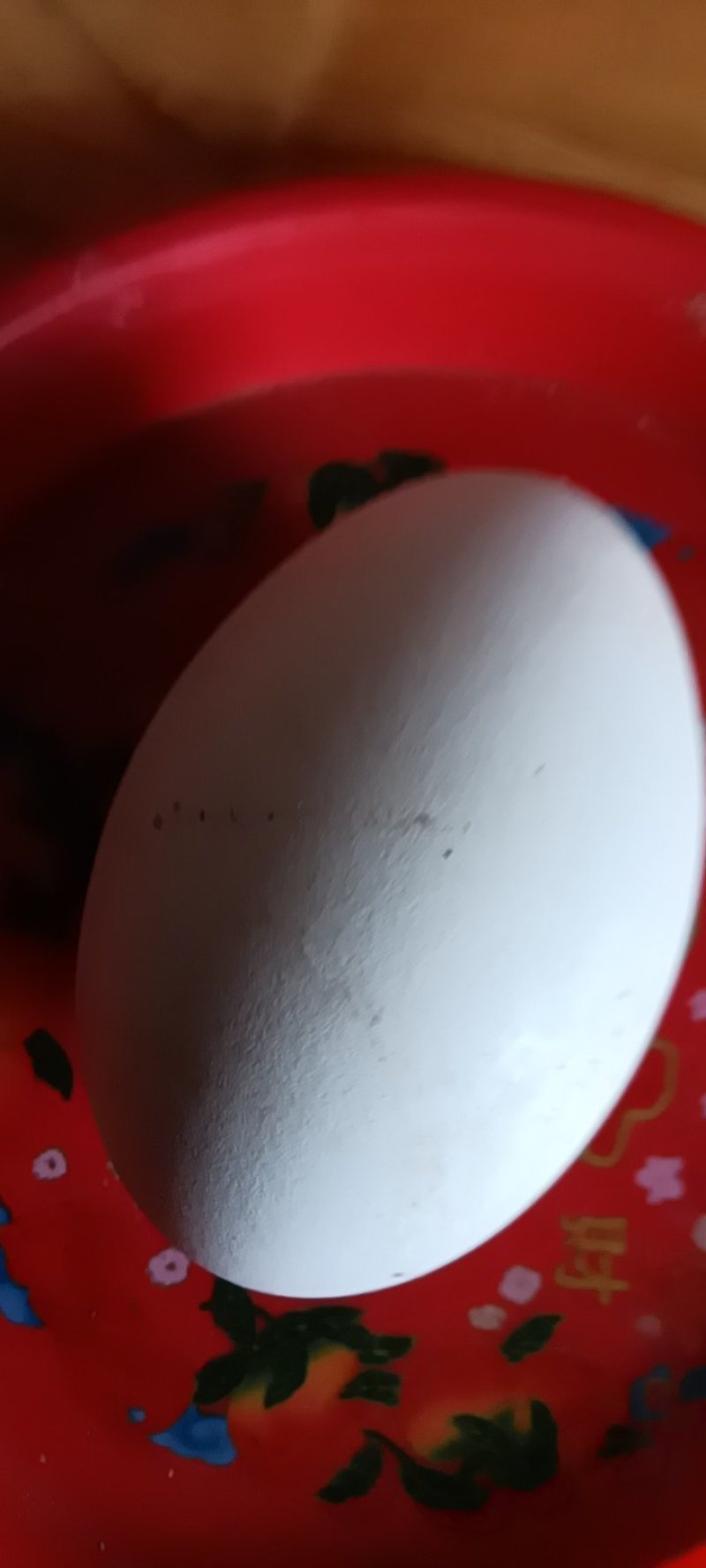 新鲜农家大鹅蛋，现捡现发质量好，6颗一件包邮。