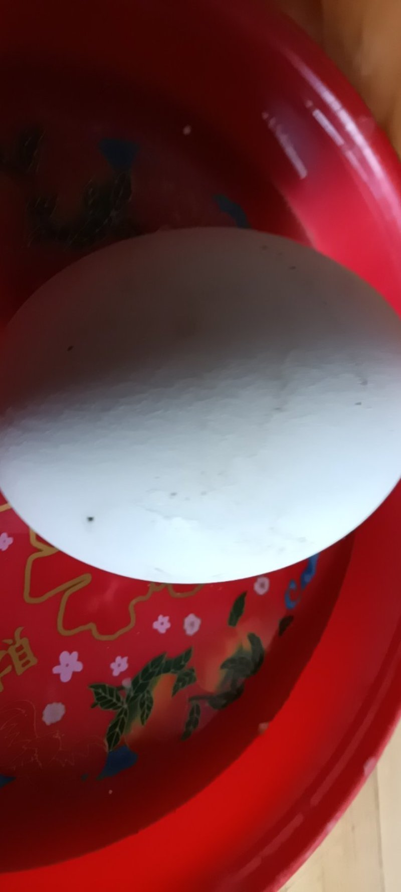 新鲜农家大鹅蛋，现捡现发质量好，6颗一件包邮。