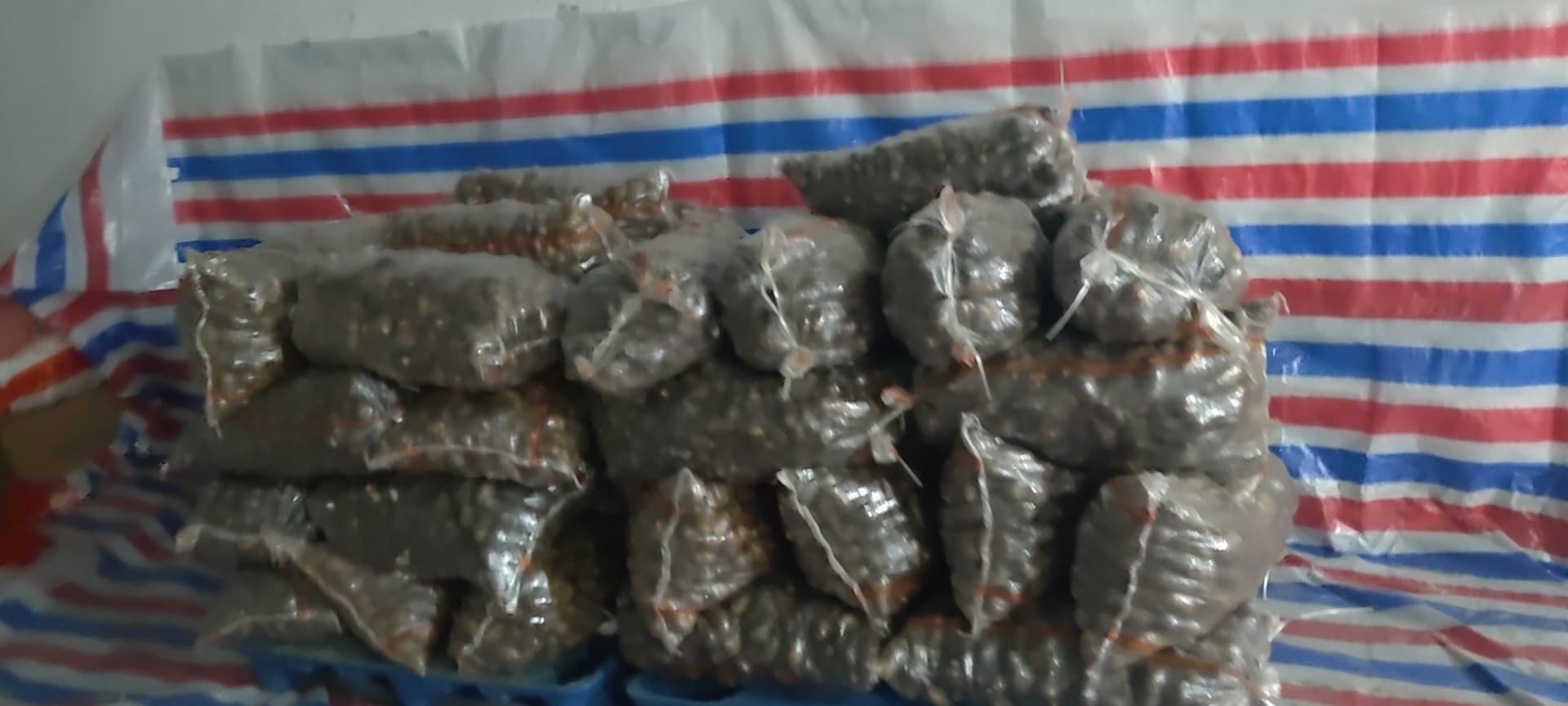 红芋加工制成的芋泥产品展示图