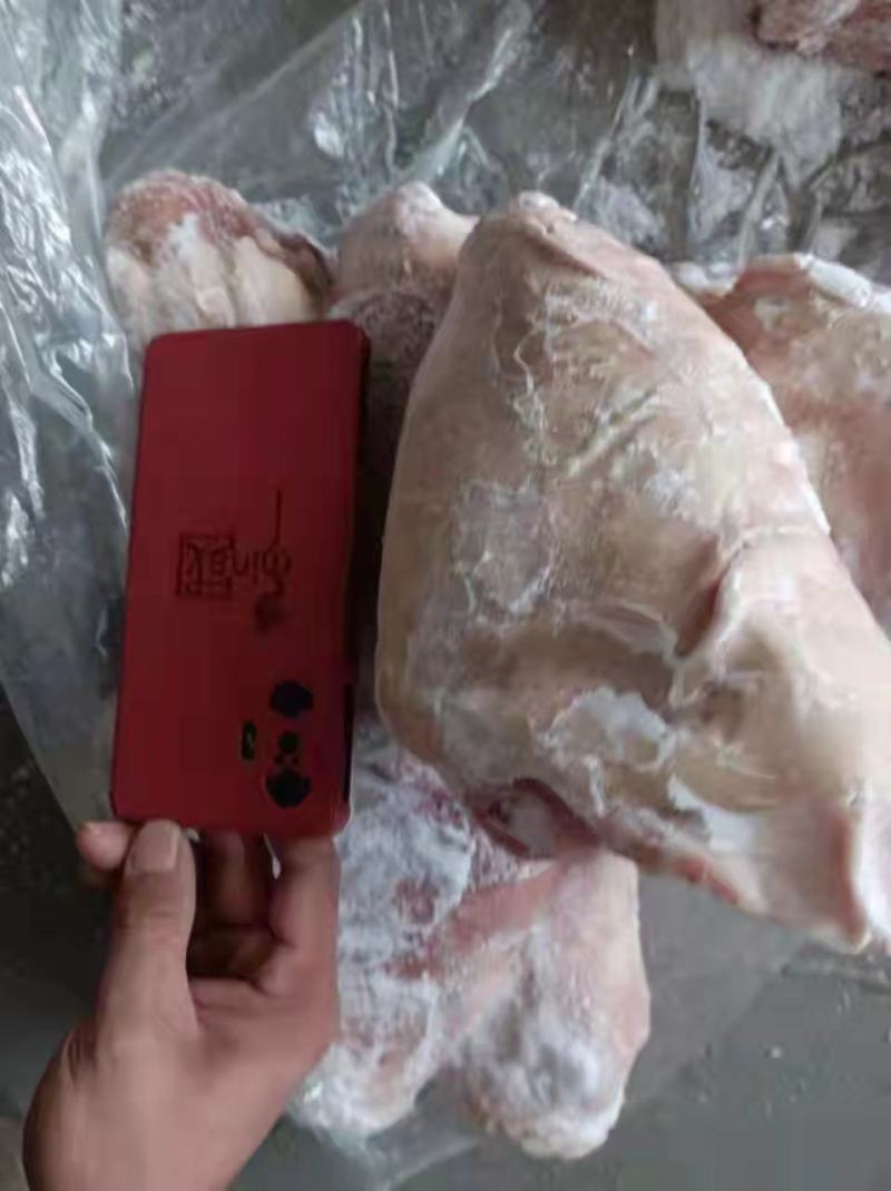冻猪肉