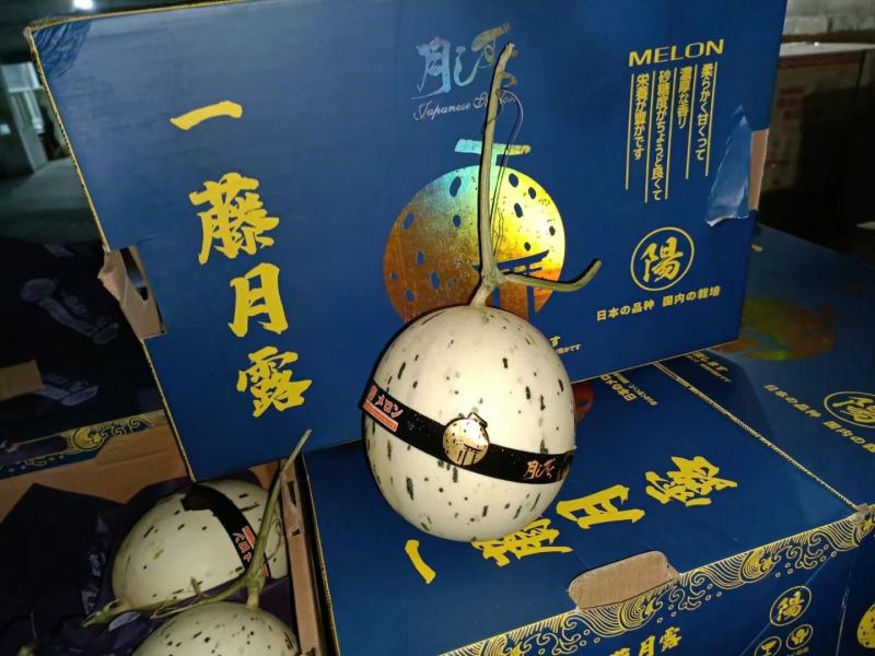 月露甜瓜蜜露瓜产地供应实力代办对接商超社区团购电商