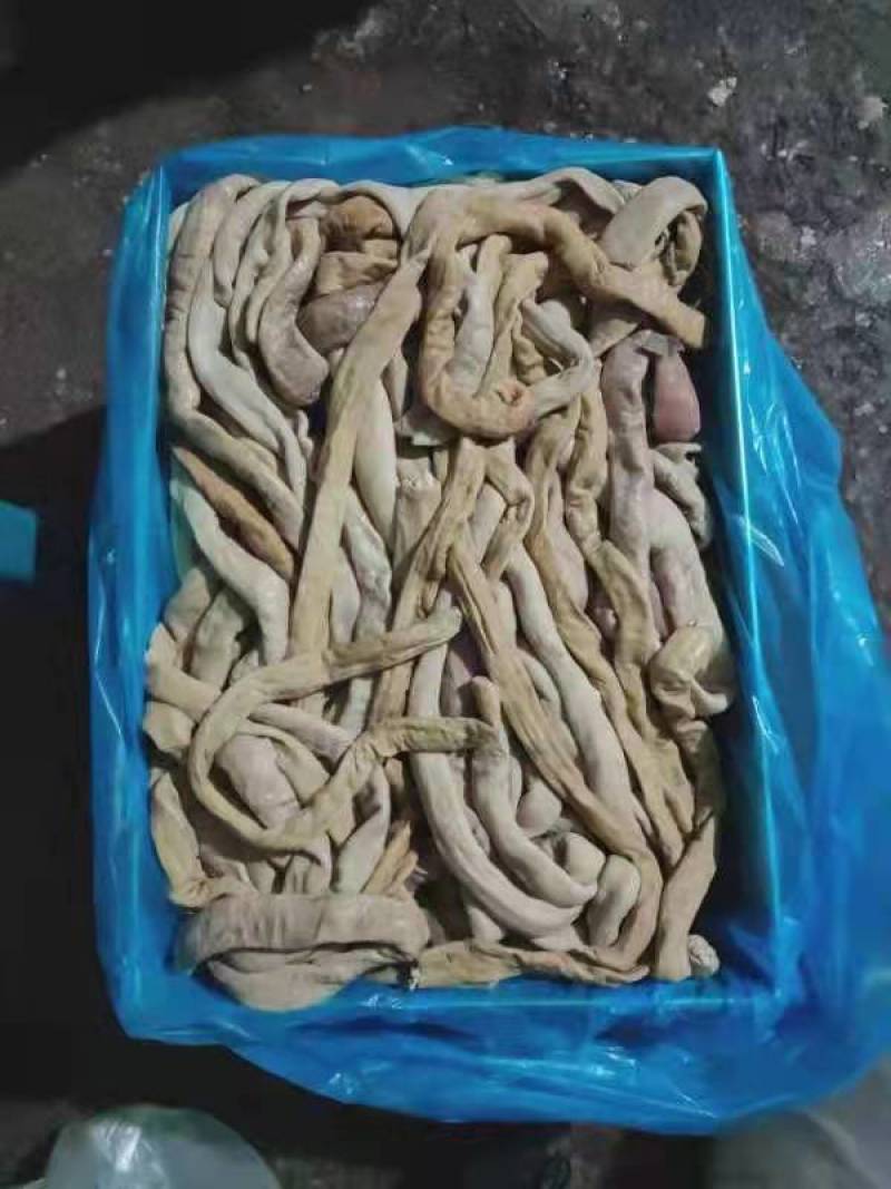 国产牛大肠，圆肠片肠，干净，熟度好，出称率高，欢迎平台下