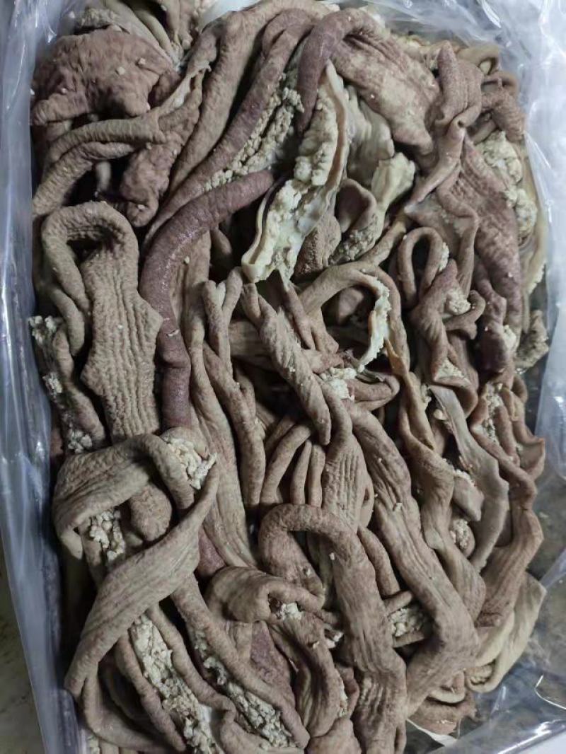 国产牛大肠，圆肠片肠，干净，熟度好，出称率高，欢迎平台下