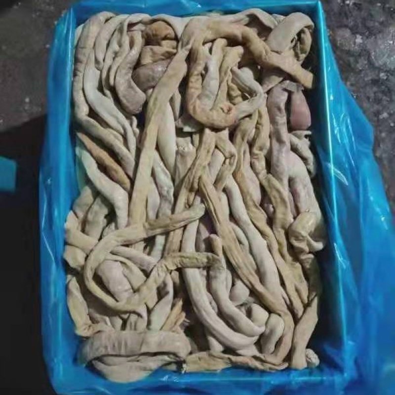 国产牛大肠，圆肠片肠，干净，熟度好，出称率高，欢迎平台下