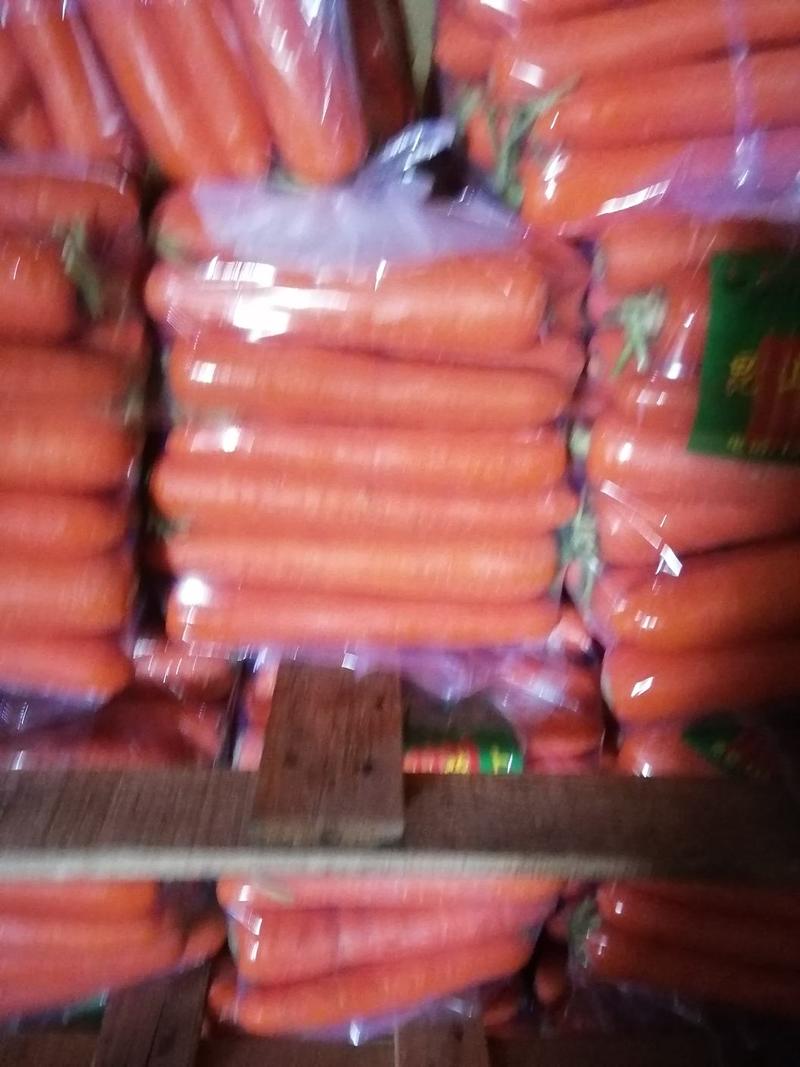 河南春季红萝卜大量上市，条行好，无青头，诚信经营。