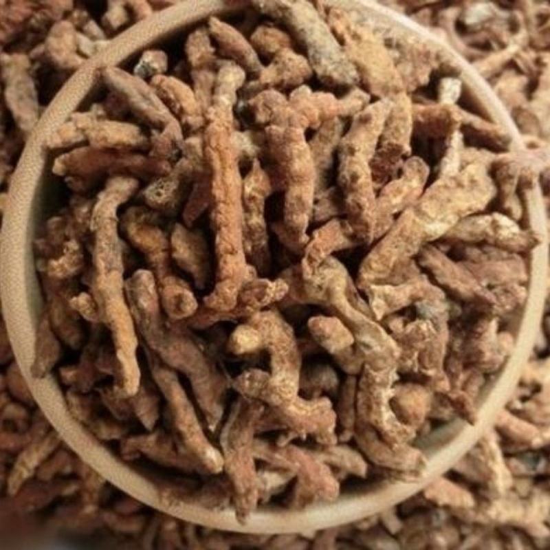 中药材正品新货制僵蚕熟僵蚕白僵蚕炒僵蚕灸僵蚕/