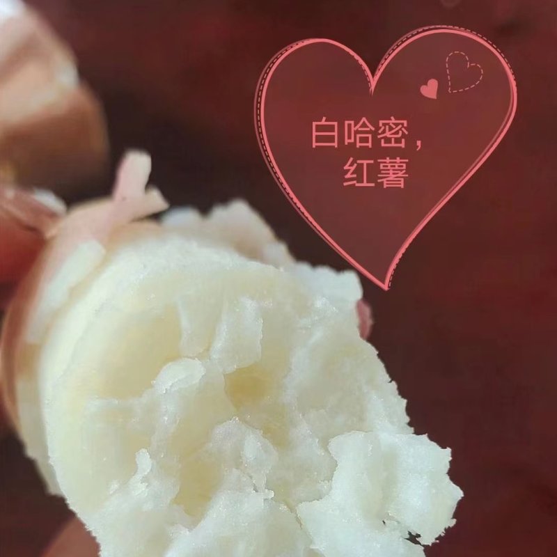 高代托毒红薯苗，品种全，主营密薯，西瓜红，商薯19.哈密