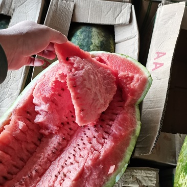 精品P2西瓜，质量保障，口感好，价格实惠
